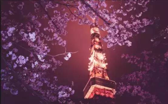 日本旅游不出门需要准备什么,日本旅游不能去的五个地方