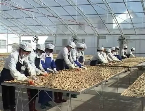 数十遍的工序成就一道菜,六十道工序