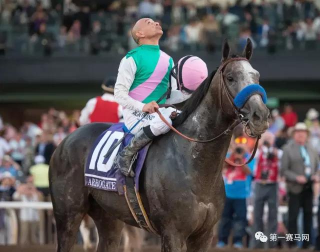 育马者杯赛马视频,育马者杯夺冠视频
