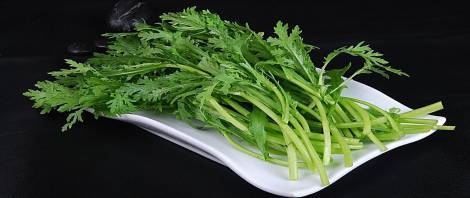 山东省淄博这个地方怎样,淄博第一个地级市