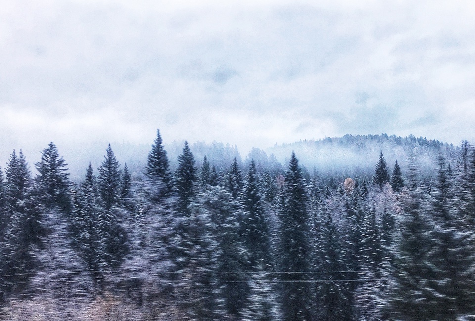 豆瓣日记:几乎所有人都说我是疯了才会坐火车去俄罗斯