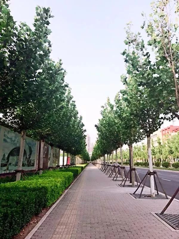 喜迎十九大永远跟党走横幅书法,喜迎十九大童心永向党书画作品