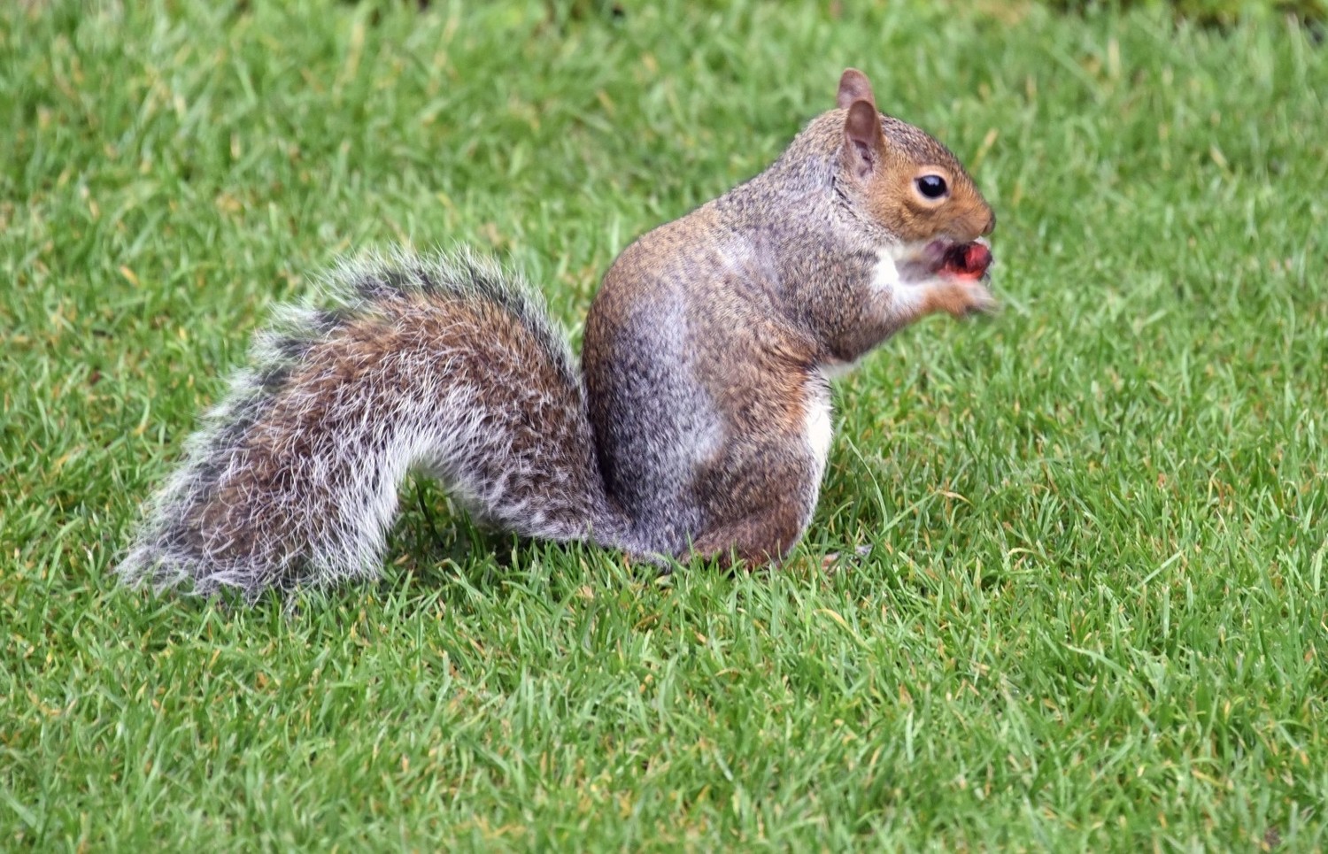 英国著名的城堡有哪些,英国城堡多少年了