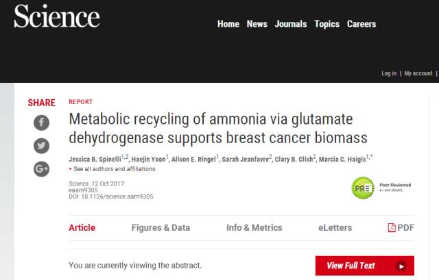 乳腺癌最怕的四种食物,乳腺癌最怕的3种天然食物