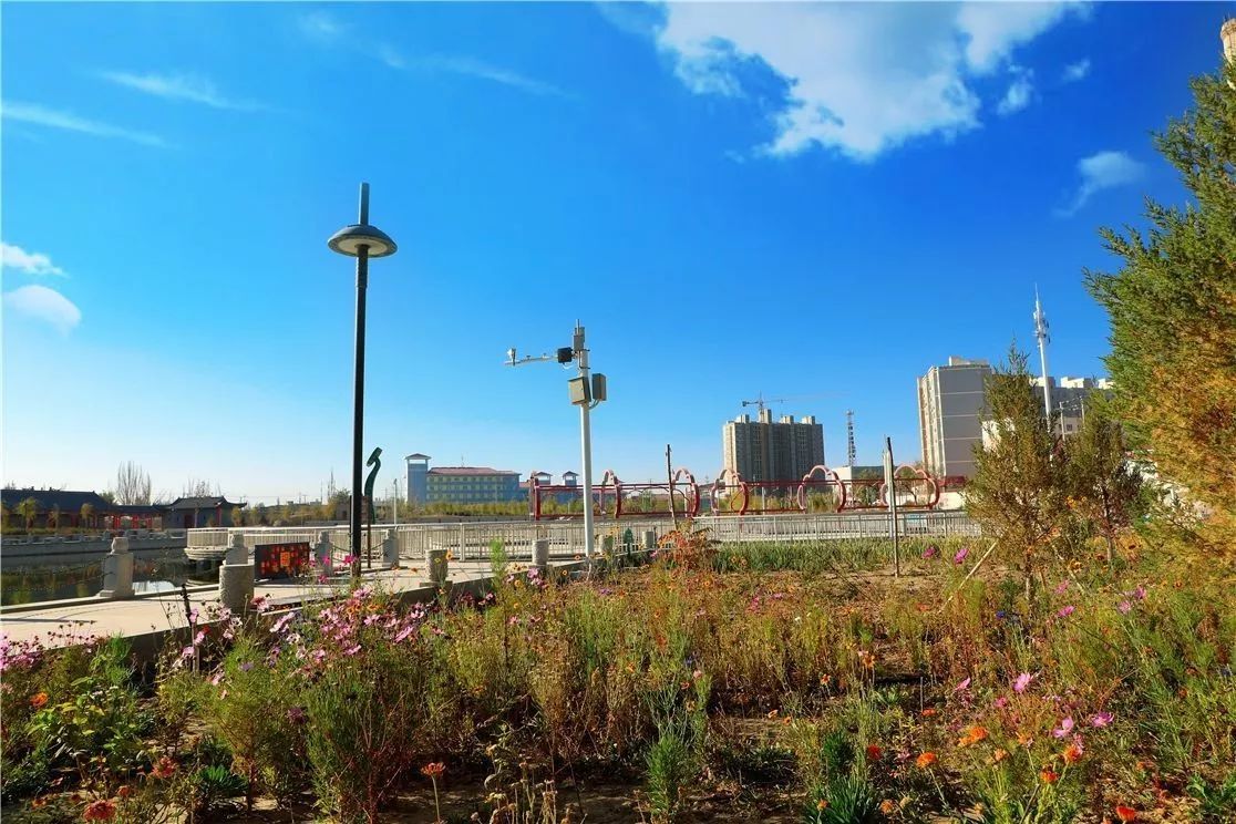 秋日里，有一抹乡愁叫且末！