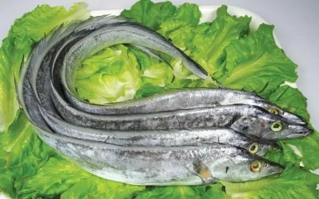 辽宁什么季节吃海鲜最好吃,辽宁海鲜什么时候便宜好吃