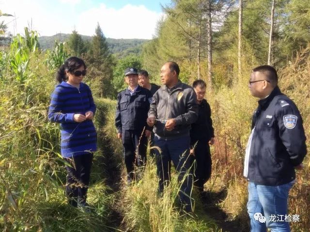 苇河林区院：十九大，“我们”以这样的方式走进你