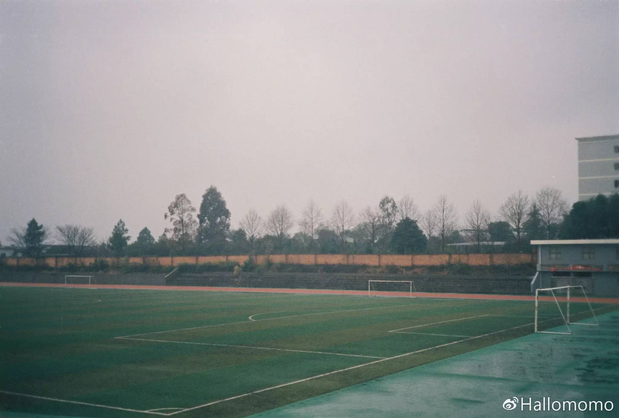 中画幅胶片机推荐,有哪些值得买的胶片机