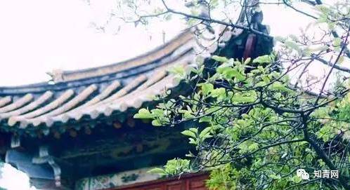 中国敬词大全完整版,敬词大全100个