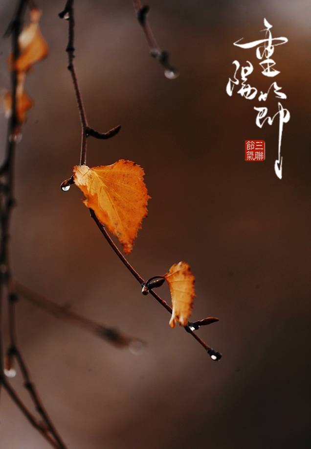 佳节又重阳惟愿幸福安康,重阳佳节幸福久久