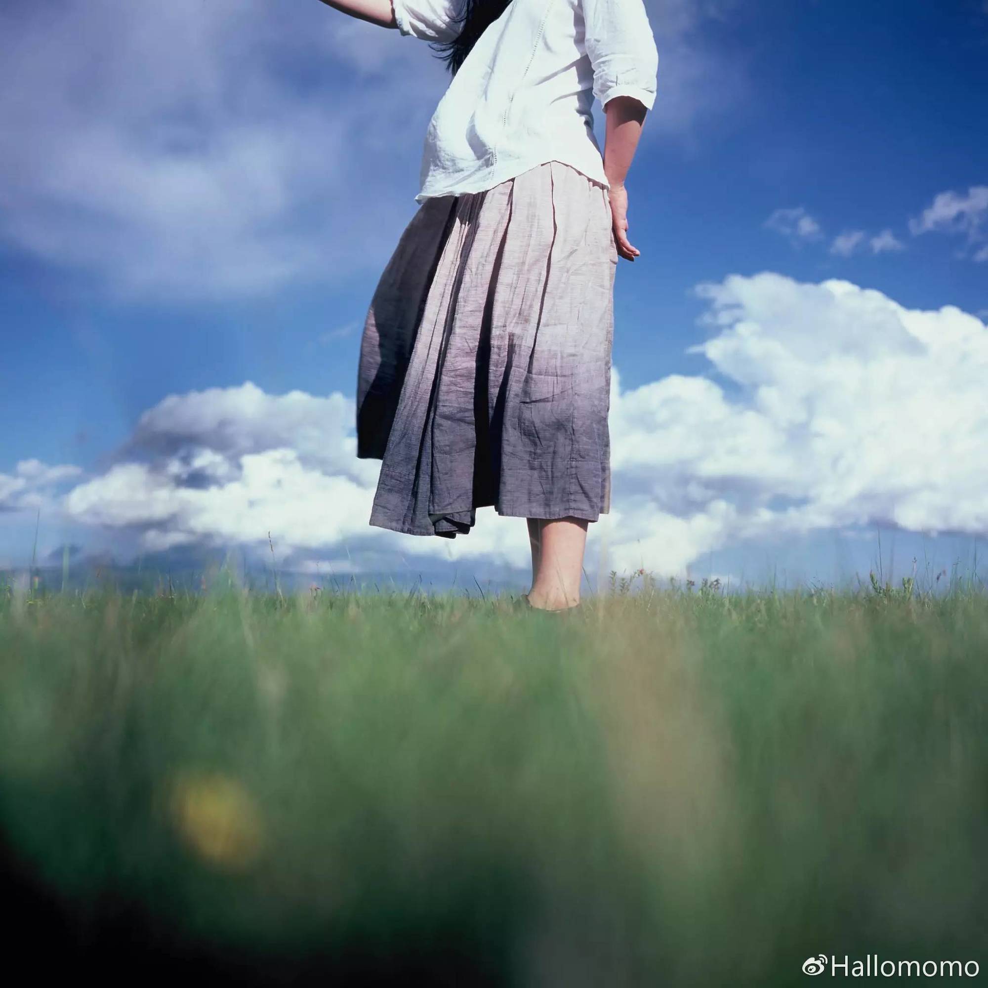 那些年我玩过的胶片机,旁轴胶片机推荐