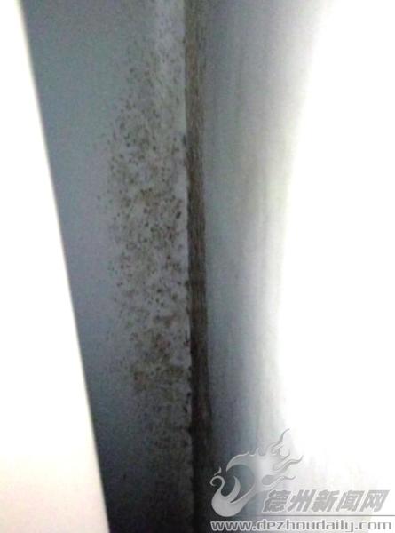 房屋墙体返潮维修方案,楼房砖墙返潮长毛咋治理