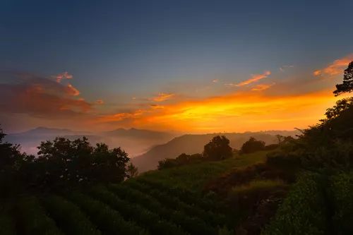 萧山最大的马场在哪里,萧山新建马场