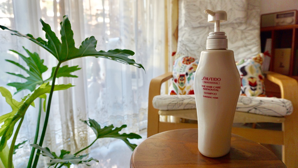 那些年我们共同书写的日记本,豆瓣日记10月