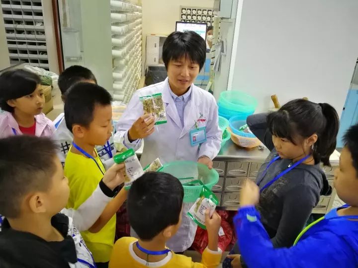 地方动态｜小朋友走进惠州市中医院感受中医药文化
