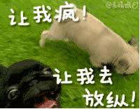 你过来我给你说一个秘密图片,你过来我告诉你一个秘密表情包