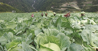 决战决胜脱贫攻坚我县多措并举,加速脱贫攻坚工作纪实