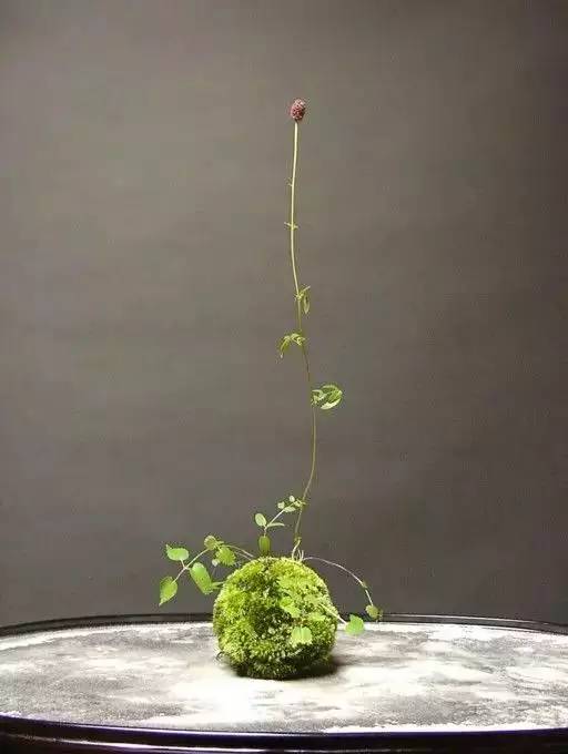 一花一世界一草一天堂一叶一菩提,一花一世界一草一天堂歌曲