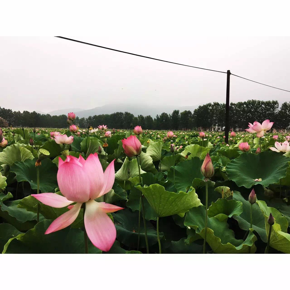 我的地质工作日记,豆瓣日记怎么编辑