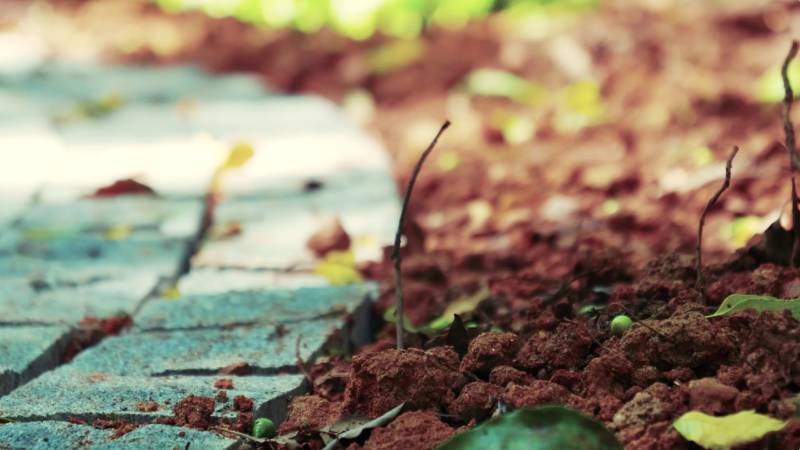 献给你，光影中的林科大