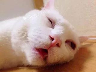 有什么方法可以缓解春困,春困怎么办教你一招轻松解决方法