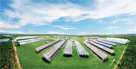 最可爱的中国养猪人,我为你歌唱!