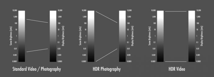 你真的懂吗原版视频,你真的懂视频的意思吗