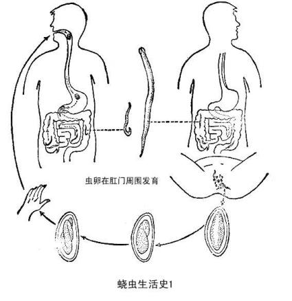 亲妈,快别让你孙子光屁屁了,小虫子钻进去好可怕!