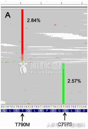吴一龙pd1单抗免疫治疗,吴一龙谈靶向治疗最新消息