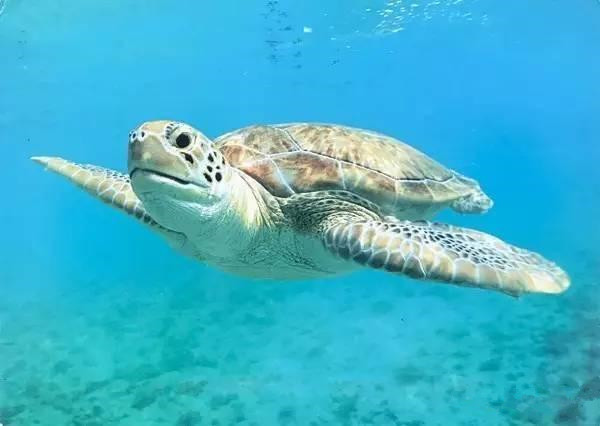 美国美景明信片,关于各个国家风景的明信片