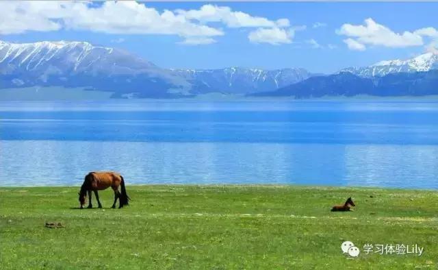 血汗钱是不是惯用语,血汗钱的意思是什么