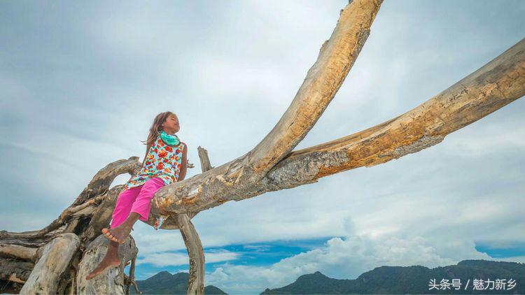 仙本那跳岛简介,仙本那跳岛图
