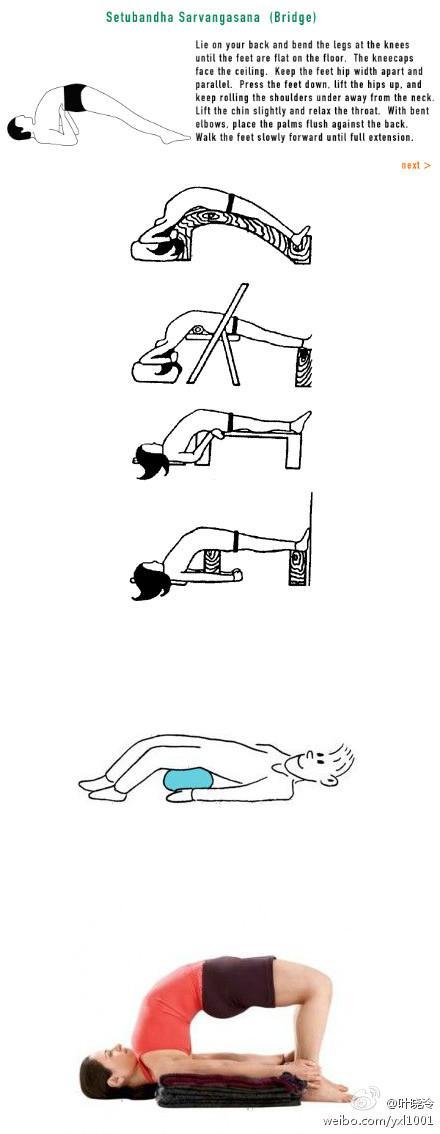 每天进步一点点！今日体式：桥式详解以及正误对比