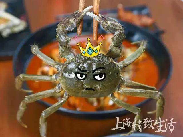 不用等到夏天也可以吃到小龙虾,现在的大闸蟹肉质肥美又爆膏