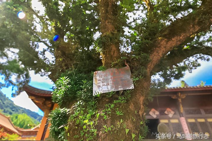 雍正乾隆柏林寺,雍正乾隆上方寺