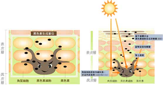 自己的孩子身患白癜风,多次治疗无果!一怒之下联合多位白癜风专家研究出新型治疗方法,从黑色素下手