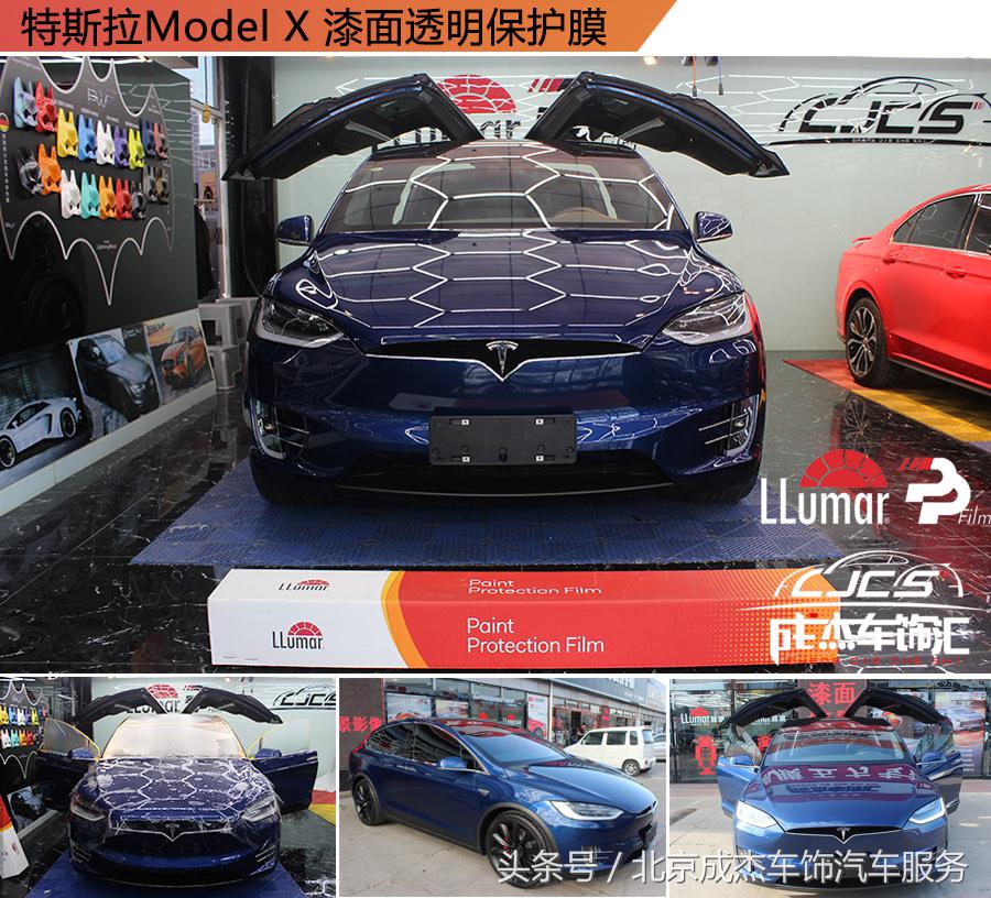 关于龙的知识简短,关于龙的科普小知识