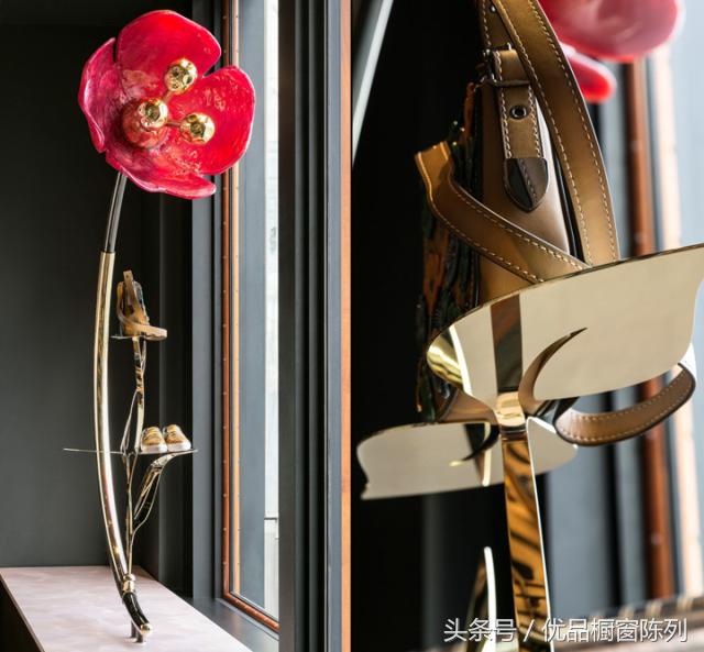 带你看遍所有车型,带你看遍大牌包包