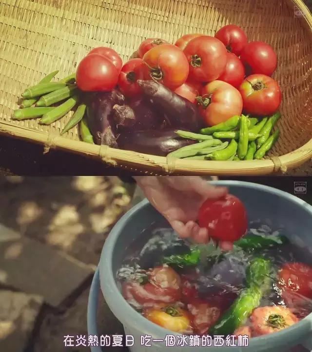 把阳光和时光都锁进玻璃瓶子里，让他在酷夏抚慰你燥热的心