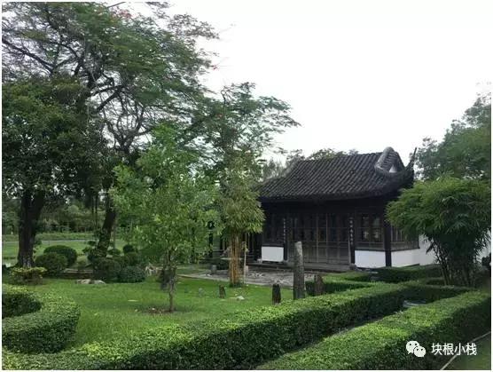 2019上海多肉展仙人球,2023泰国多肉展会直播