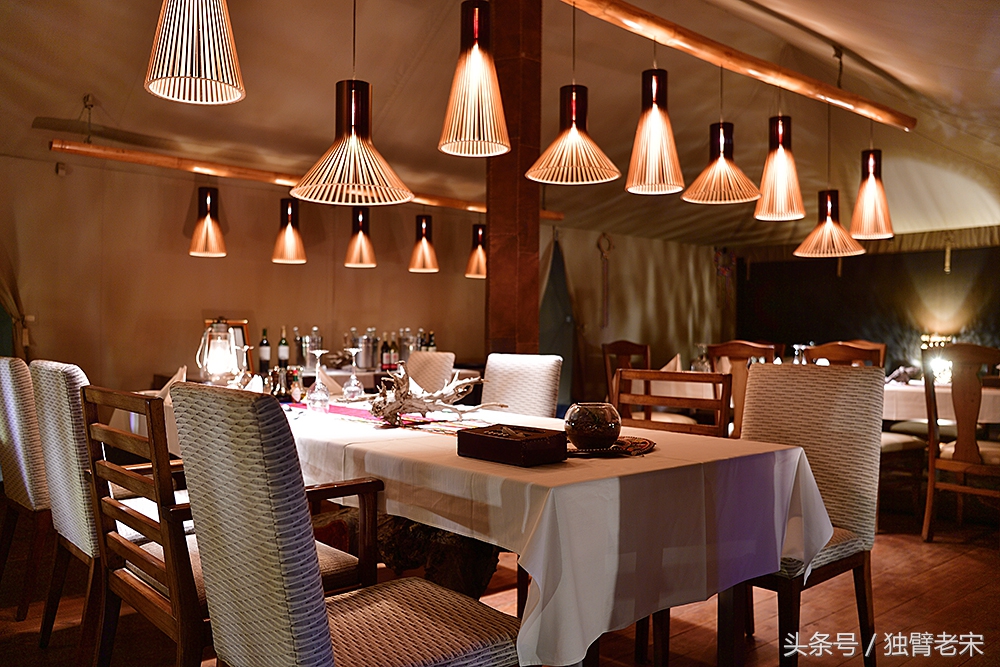 肯尼亚动物大迁徙旅游,肯尼亚迁徙之旅