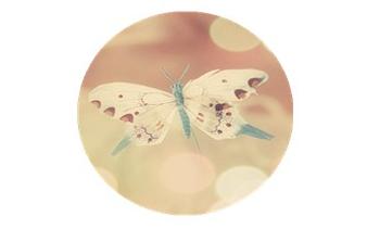 “小姑,你每次都诉苦说过不下去,那趁现在没小孩离婚好了”