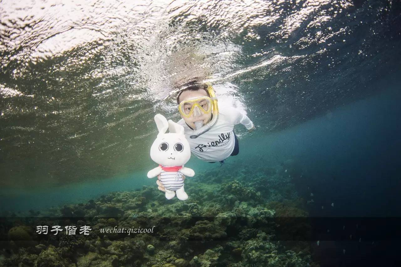 帕劳旅游发展的前景,去帕劳注意事项和必备品