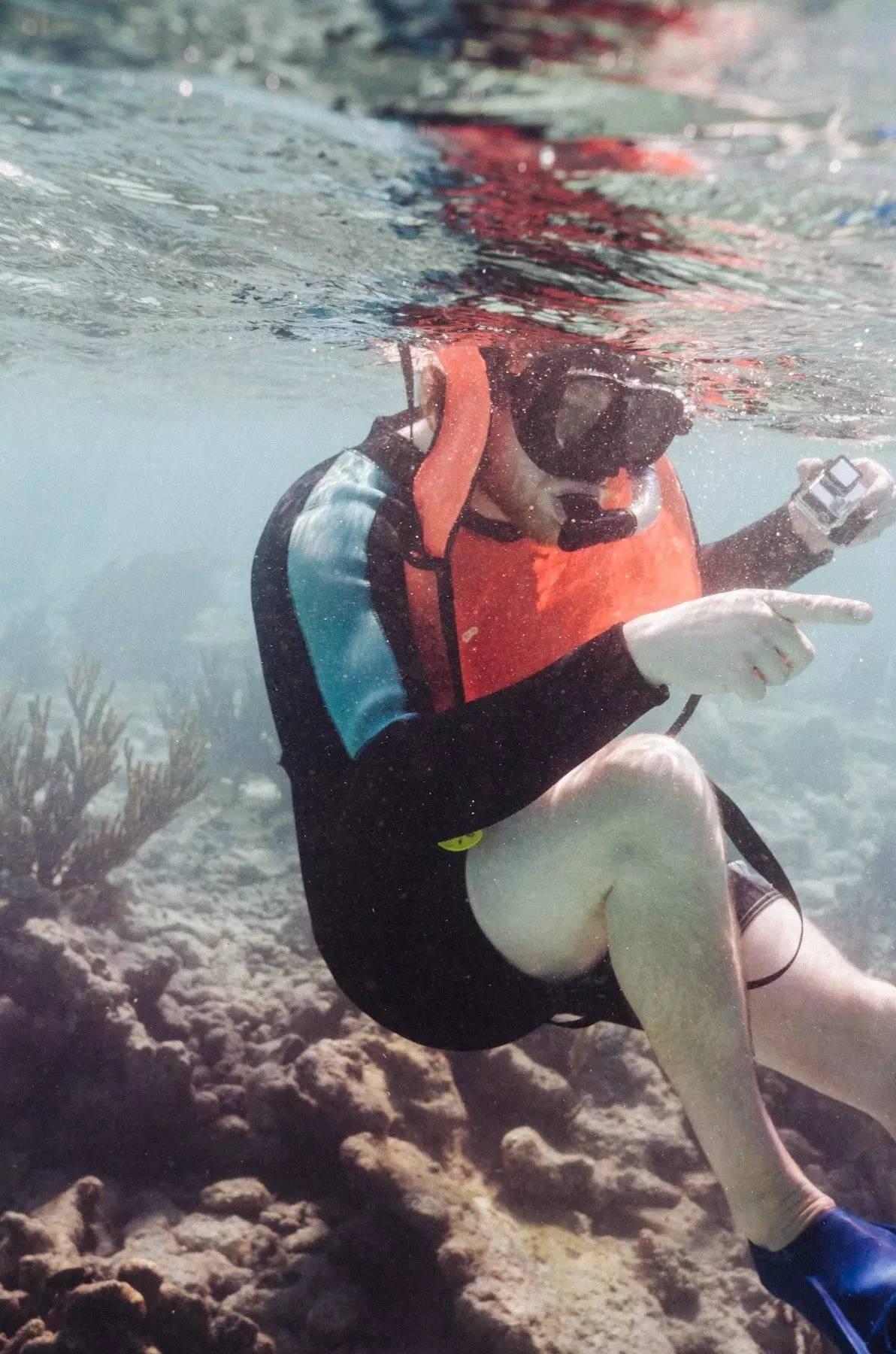 该怎么选择徕卡相机拍照,拍摄相机怎么选