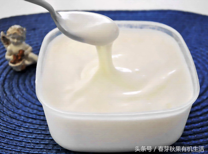 懒人教你做酸奶根本不需要酸奶机不需要煮瓶子超简单