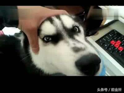 哪些英文名听起来老土,有些英文名字不能取