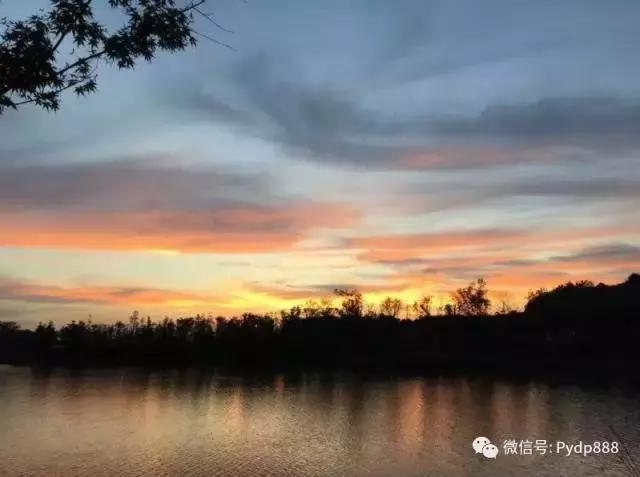 中国历史牛股解析,历史牛股的共同特征