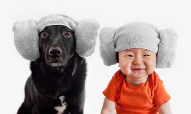 备孕可养狗狗吗,想备孕能养狗狗吗