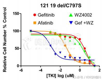 吴一龙pd1单抗免疫治疗,吴一龙谈靶向治疗最新消息