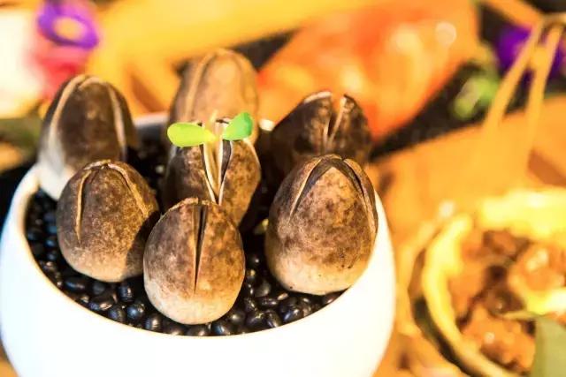 郑州中高端山珍餐厅,人均超高奢侈餐厅